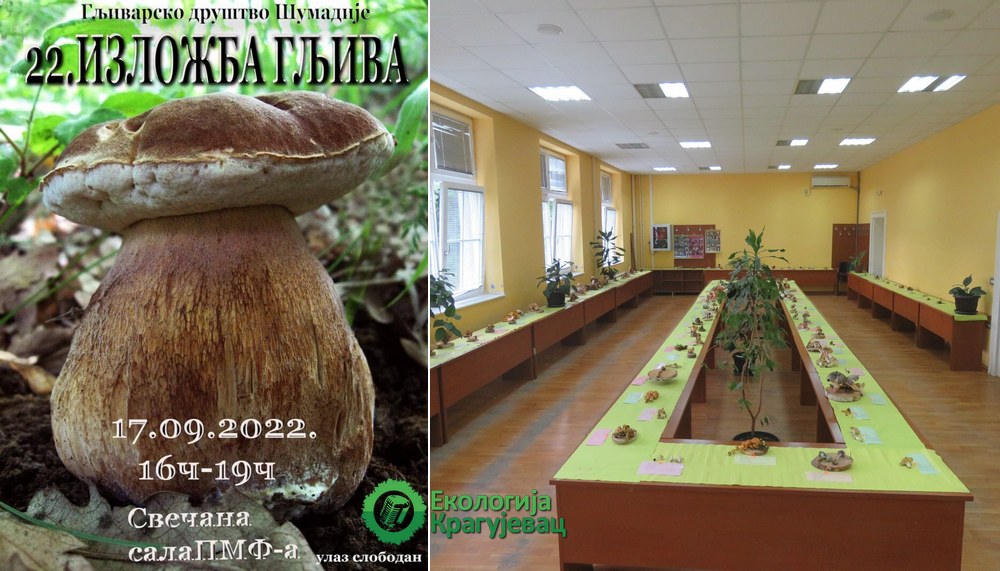 Tradicionalna izložba gljiva u Kragujevcu