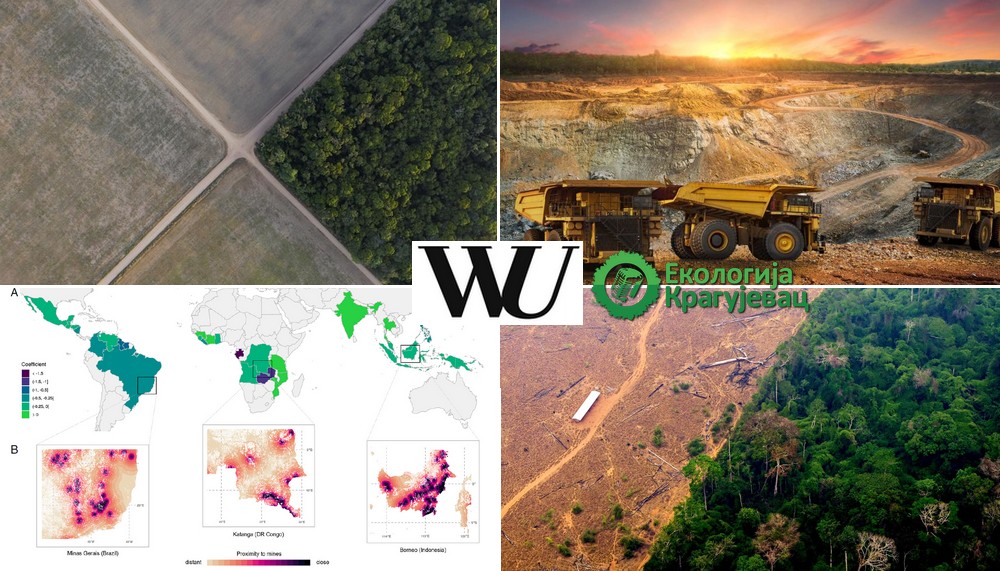 Pojačan gubitak šuma usled intenziviranja rudarstva - pokazala studija bečkih naučnika