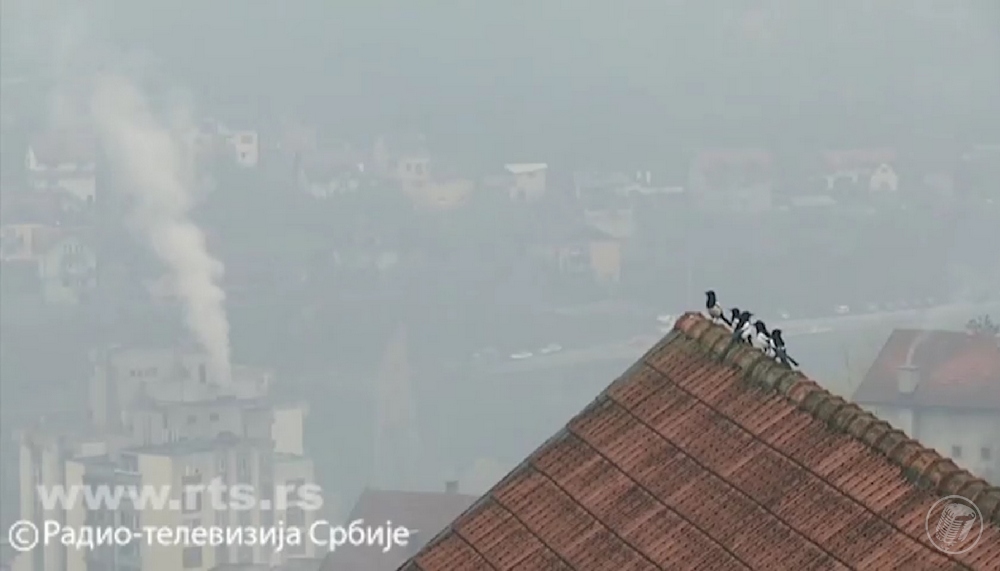 Vazduh u 2022. bio jako zagađen širom Srbije – zbog toga godišnje umre 12.700 ljudi, tvrde stručnjaci