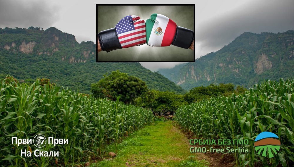 GMO kukuruz povod za ’rat’ SAD i Meksika