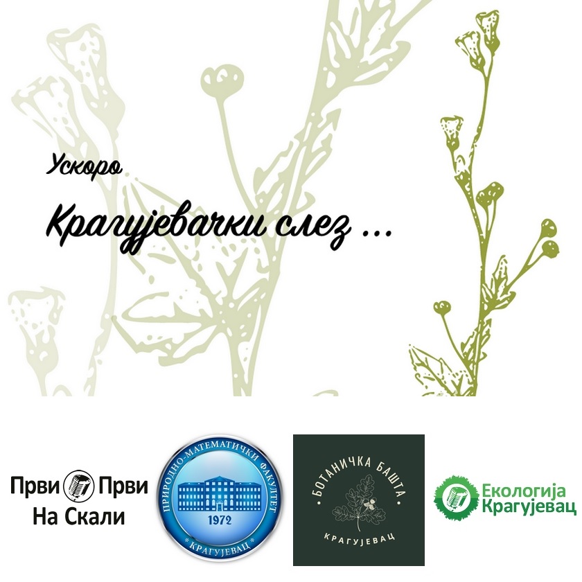 Uskoro: Javni poziv za dodelu godišnje  nagrade ’Kragujevački slez’