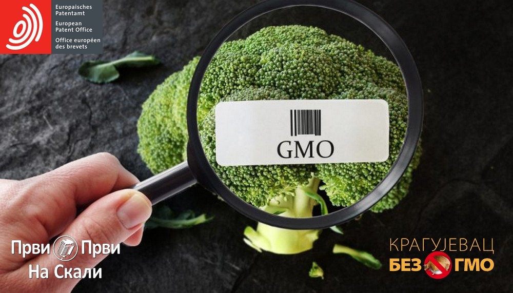 Kao za GMO, ispitivaće se i patentne prijave za novе genomskе tehnikе (NGT)?