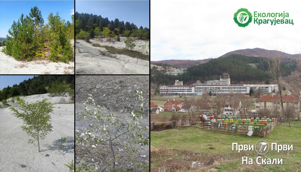 Jalovište rudnika azbesta Stragari – mogućnosti biološke rekultivacije