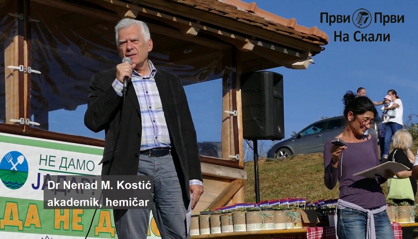Posrnula Politika izbegava praksu dobrih novina - akademik dr Nenad M. Kostić
