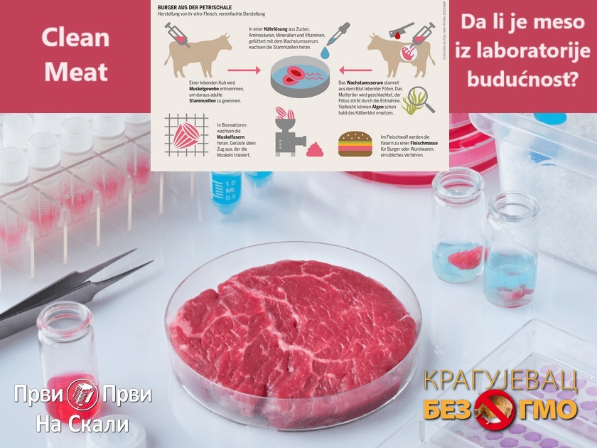 Da li je meso iz laboratorije budućnost?