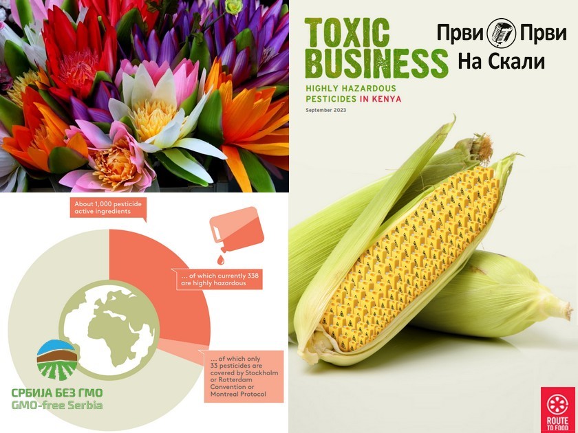Toksičan posao: Zbog tržišta cveća u Evropi trpi Kenija, zdravlje ugroženo glifosatom i drugim preparatima