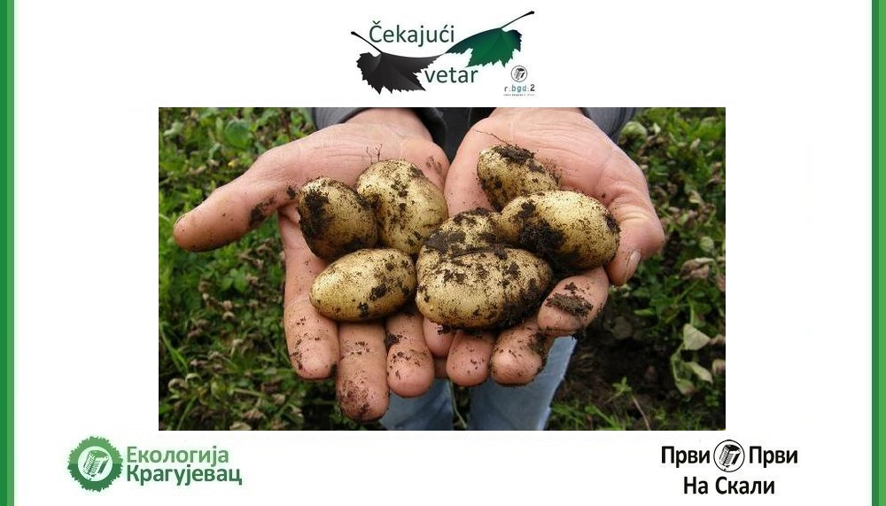 Čekajući vetar, 22. 6. 2025.