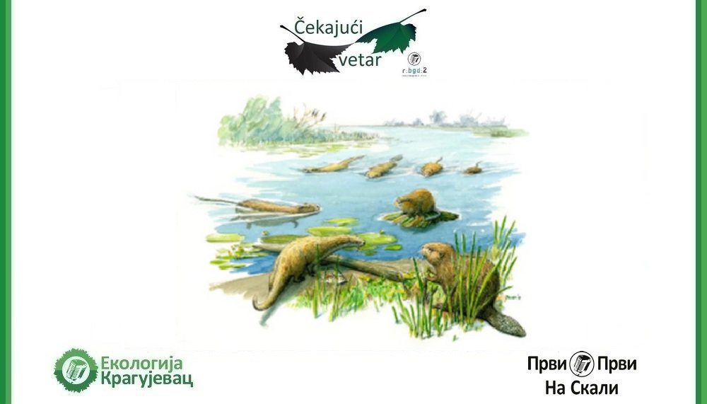 Čekajući vetar, 17. 8. 2025.