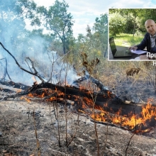 Profesor Milanović za CINS: Srbiji preti opasnost od šumskih požara u budućnosti, krajnje je vreme da se osmisli sistem za smanjenje rizika i opasnosti