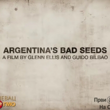 Argentinsko loše seme