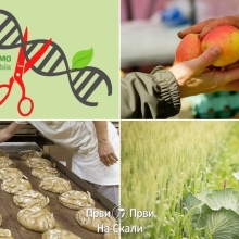 Genetički inženjering u poljoprivredi i namirnicama; ’Bio’ - bez GMO, je odgovor za krizu