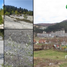 Jalovište rudnika azbesta Stragari – mogućnosti biološke rekultivacije
