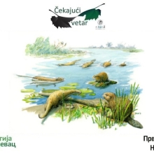 Čekajući vetar, 17. 8. 2025.