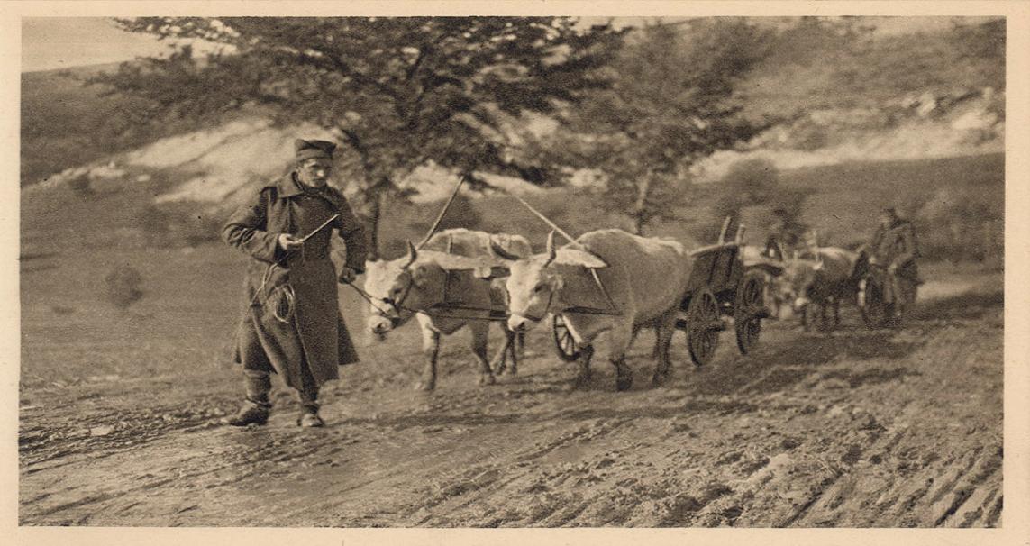 Transport municije sa Gramade, kod Niša. 1915.